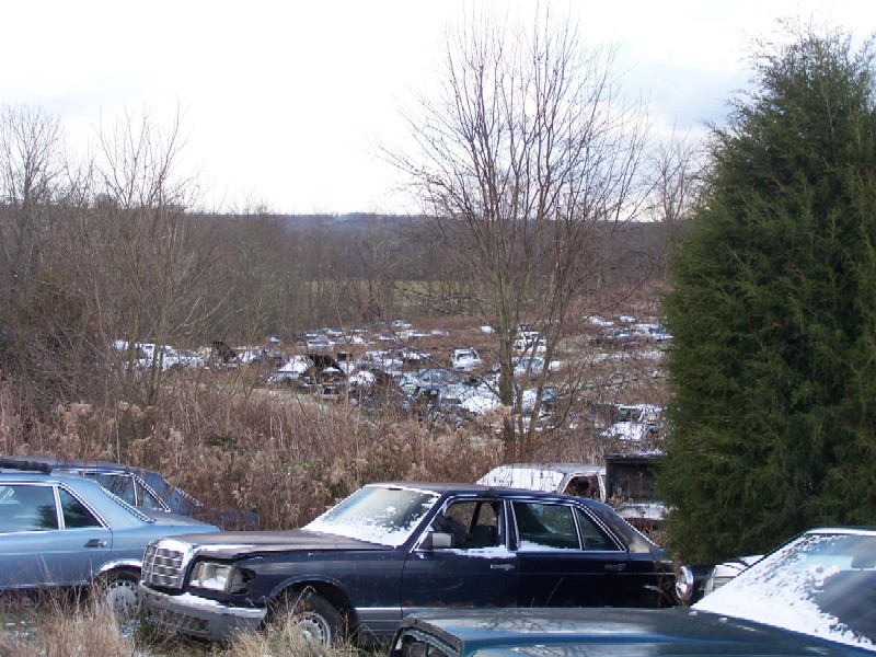 Illustration for article titled Over 1,000 Vintage Mercedes-Benzes Await The Cruel Jaws Of The Crusher In Kentucky